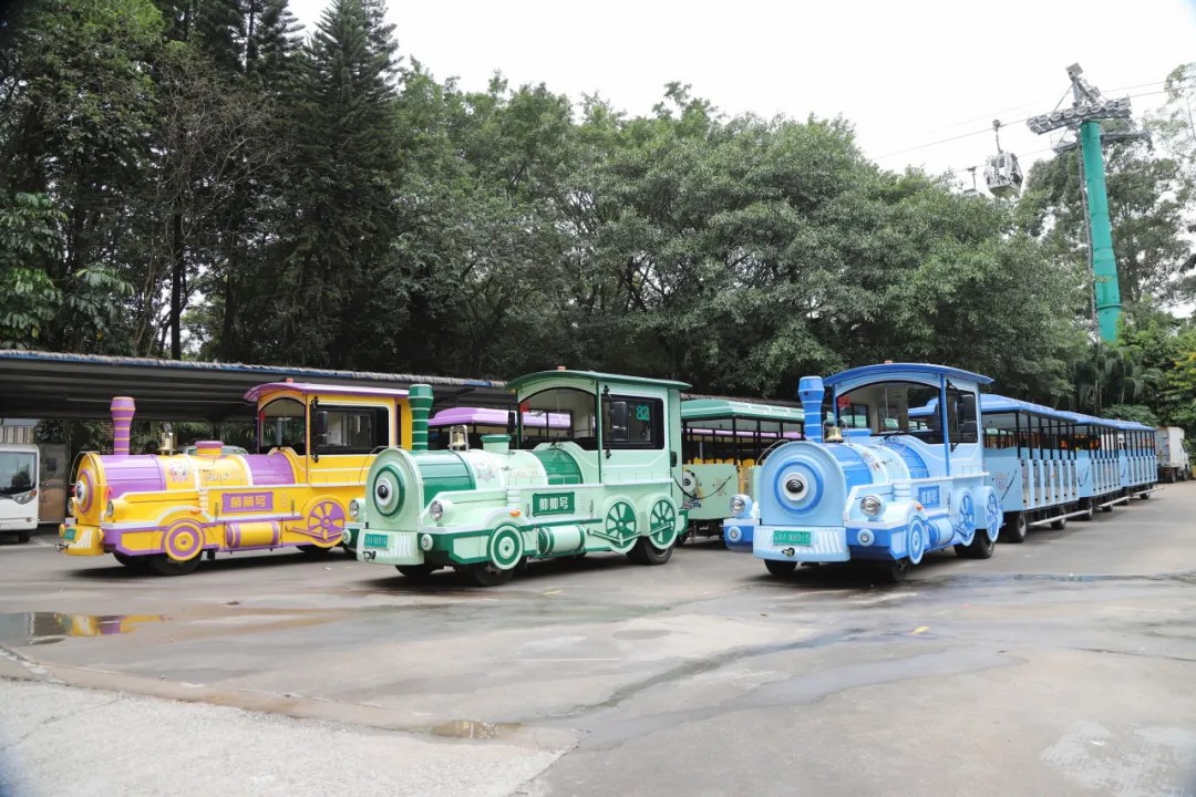 4万公里 ，100%出勤率！宇通观光车助力长隆打造沉浸式生态之旅