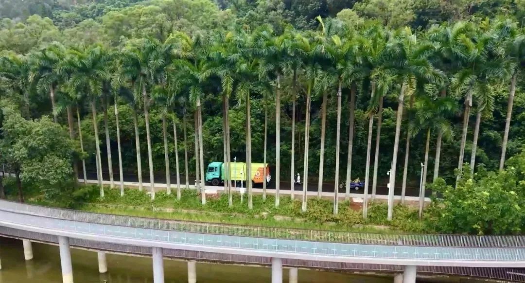 为绿色智慧作业！宇通环卫纯电动洗扫车新品试驾会圆满落幕