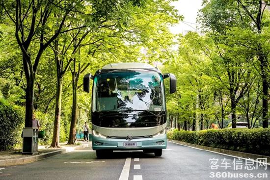 1712455178822781.jpg 6.jpg