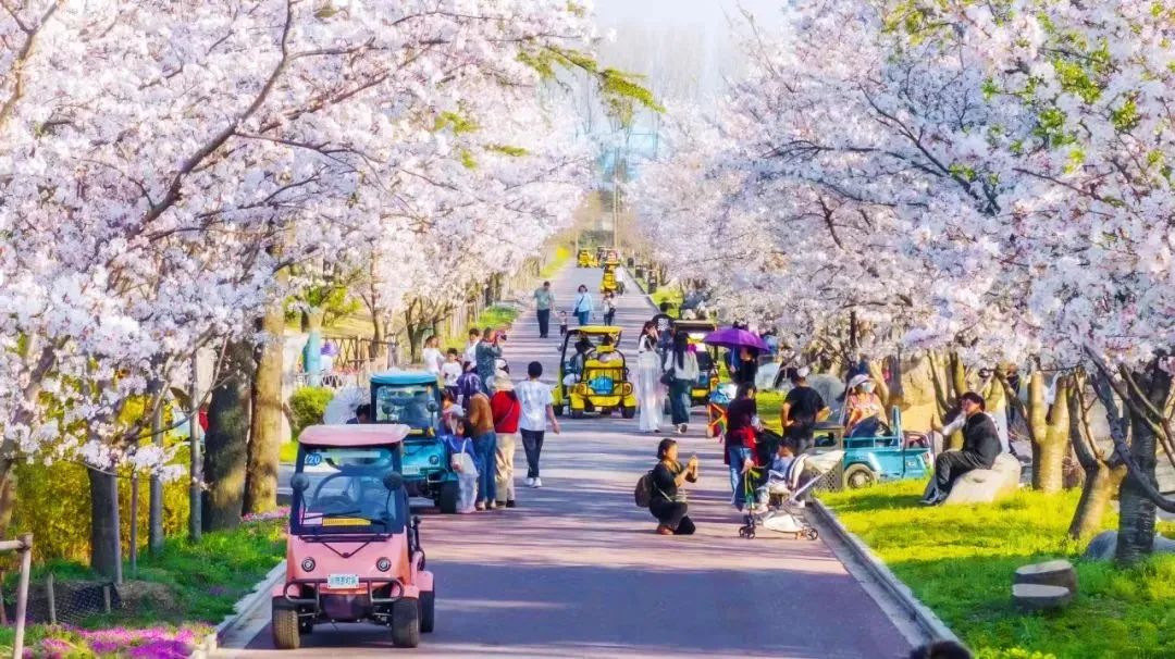 宇通上新季丨大运力超能巴士助力旅游经济一路“繁花” 宇通上新季丨大运力超能巴士助力旅游经济一路“繁花”