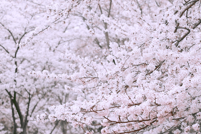 共青团点赞！定制公交拓宽市民“幸福路”