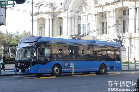 1717731177787321.jpg 5.jpg